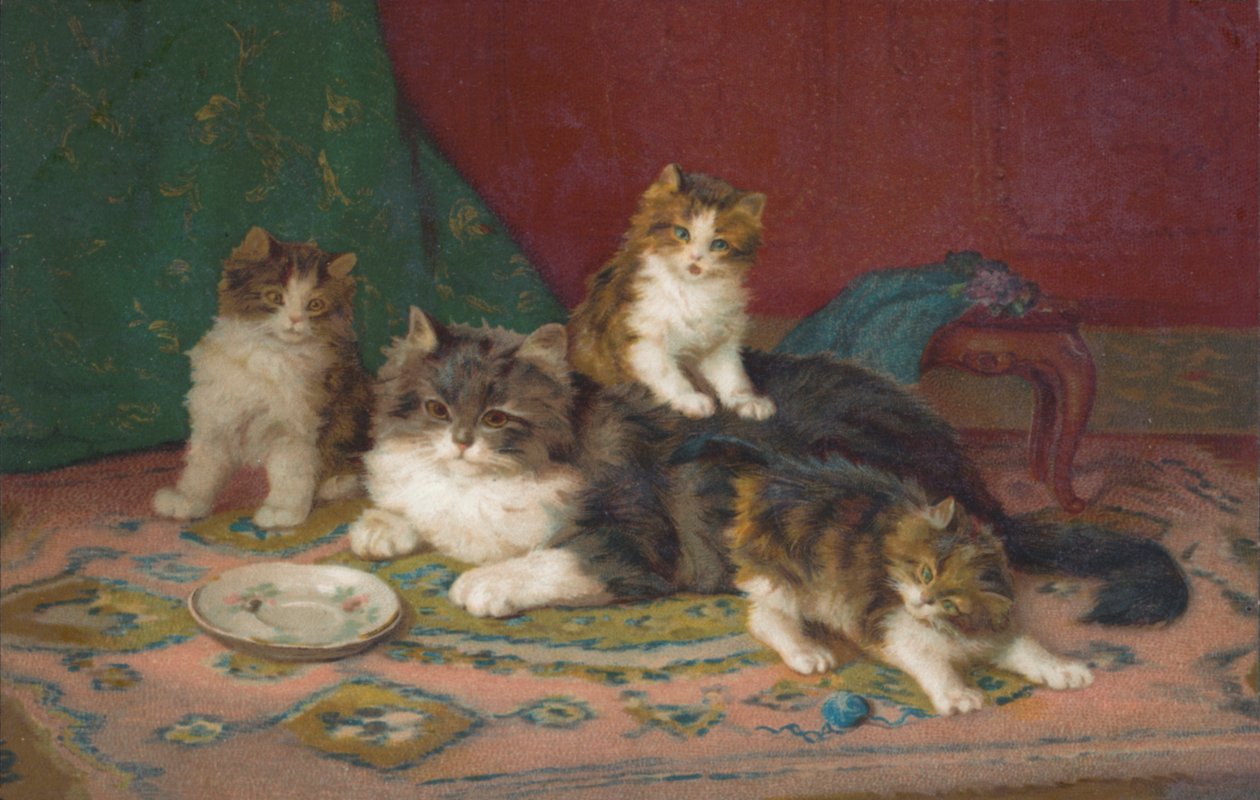 Carte postale de chat (lithographie couleur) - European School