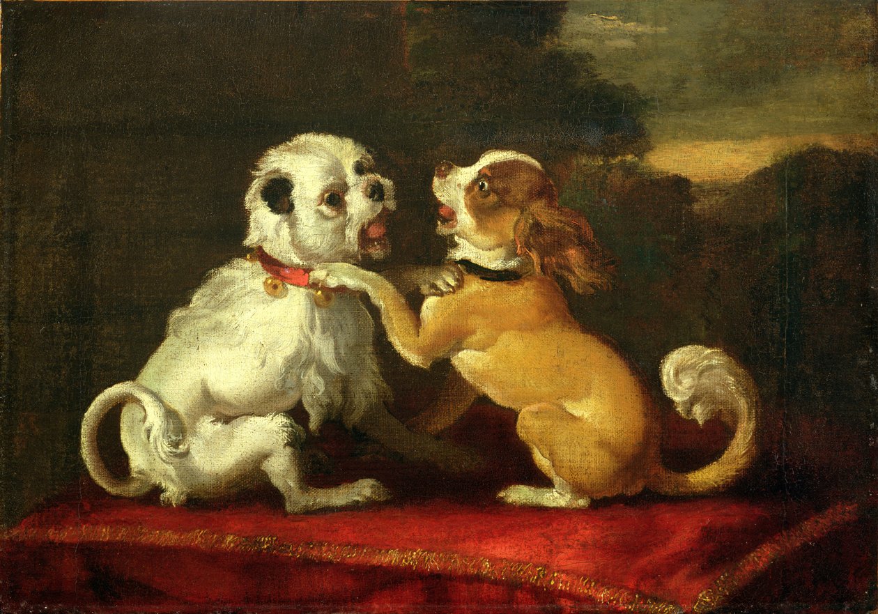 Chiens en Train de Jouer - European School