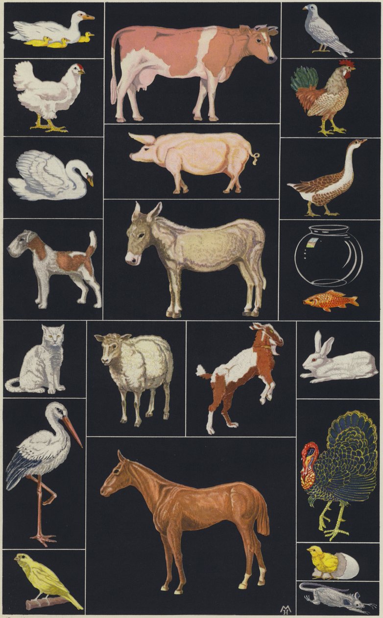 Page d