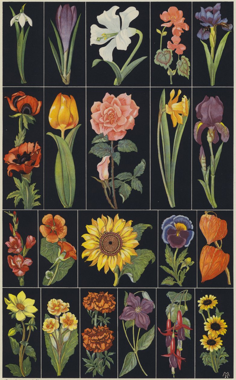 Page d
