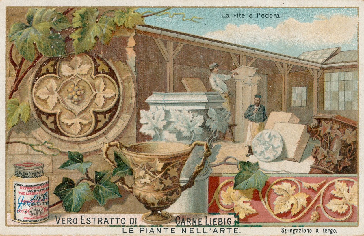 Les plantes dans l