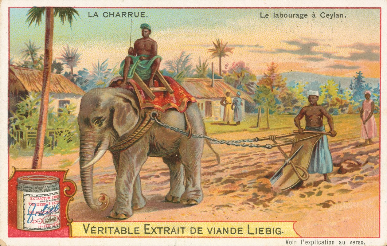 Labour à l
