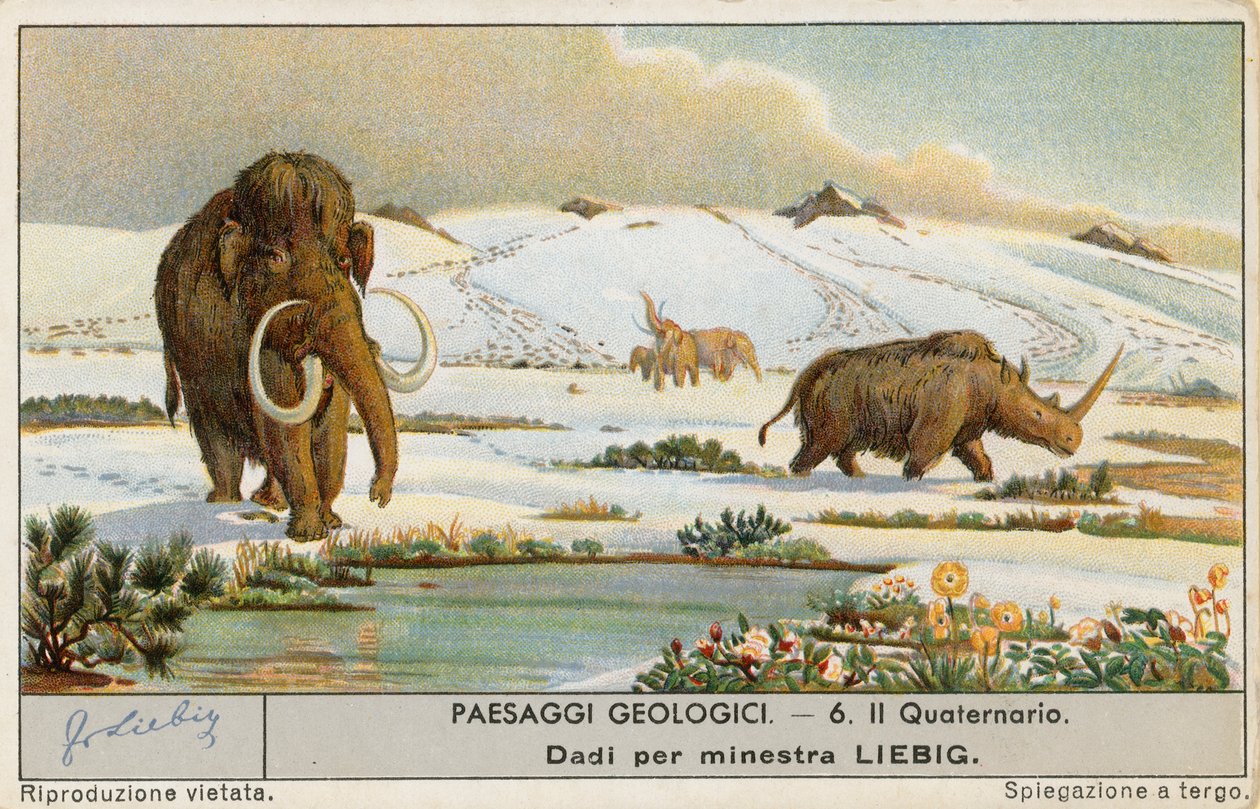 Monde préhistorique, carte de Liebig, début du 20e siècle (chromo) - European School