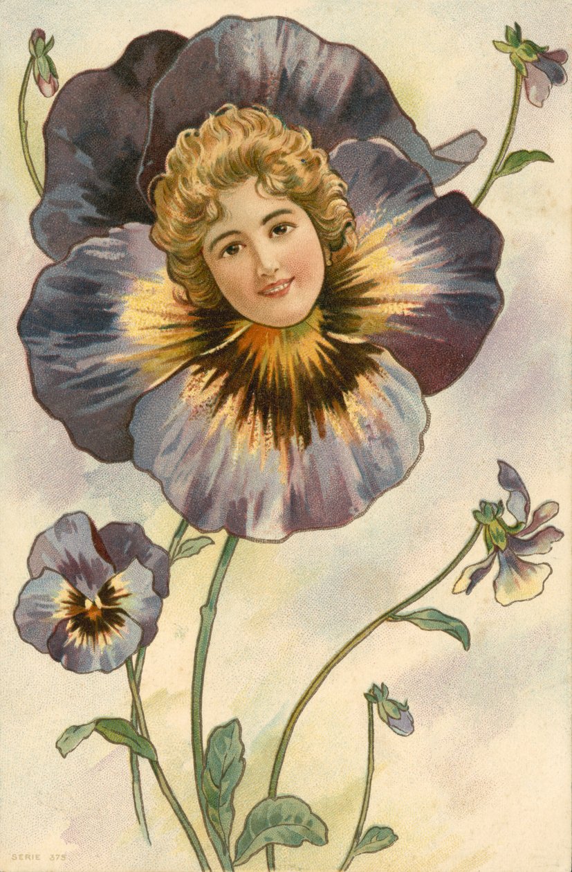 Visage d
