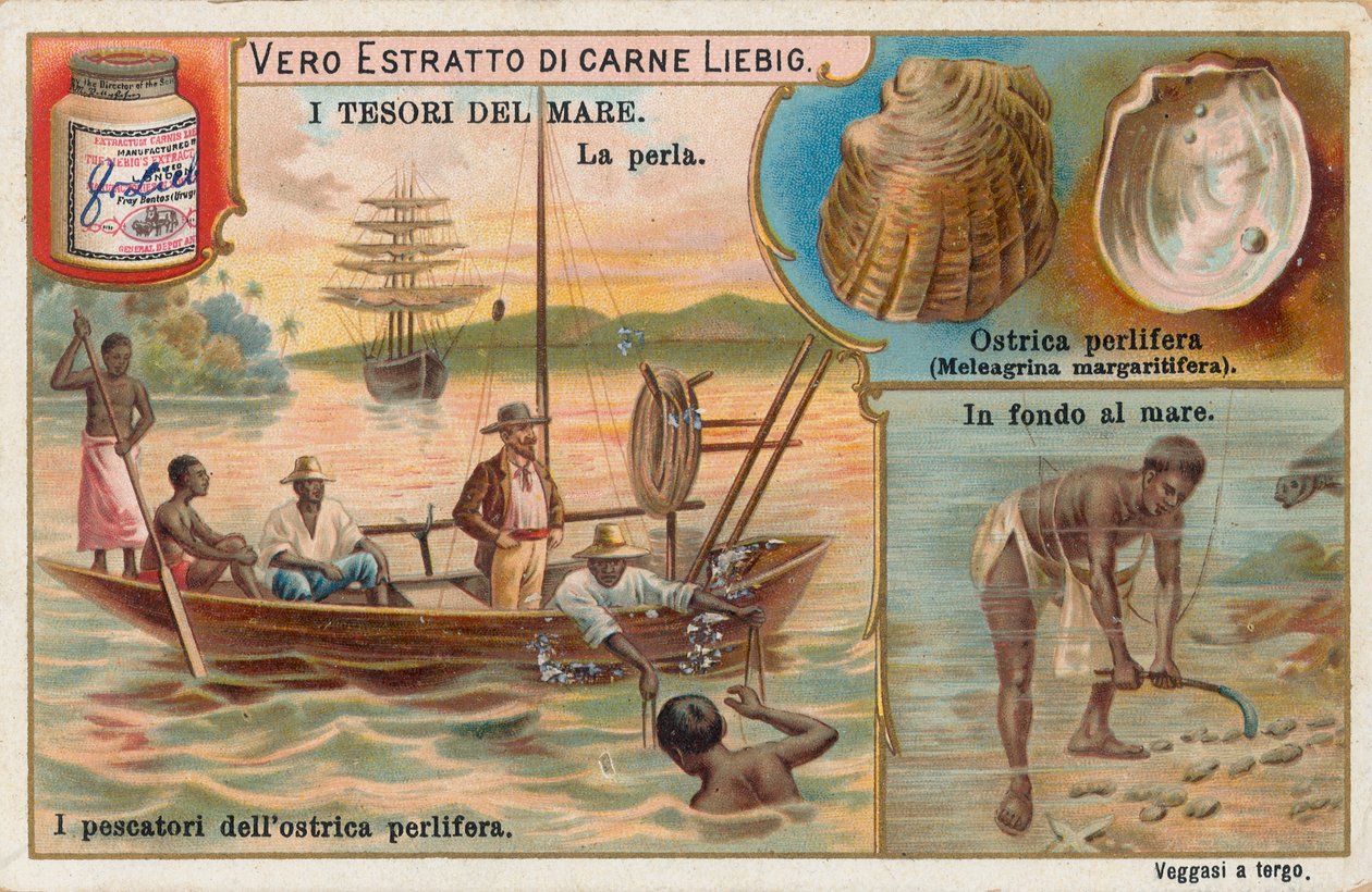 Trésors de la mer, carte Liebig, début du 20e siècle (chromo) - European School