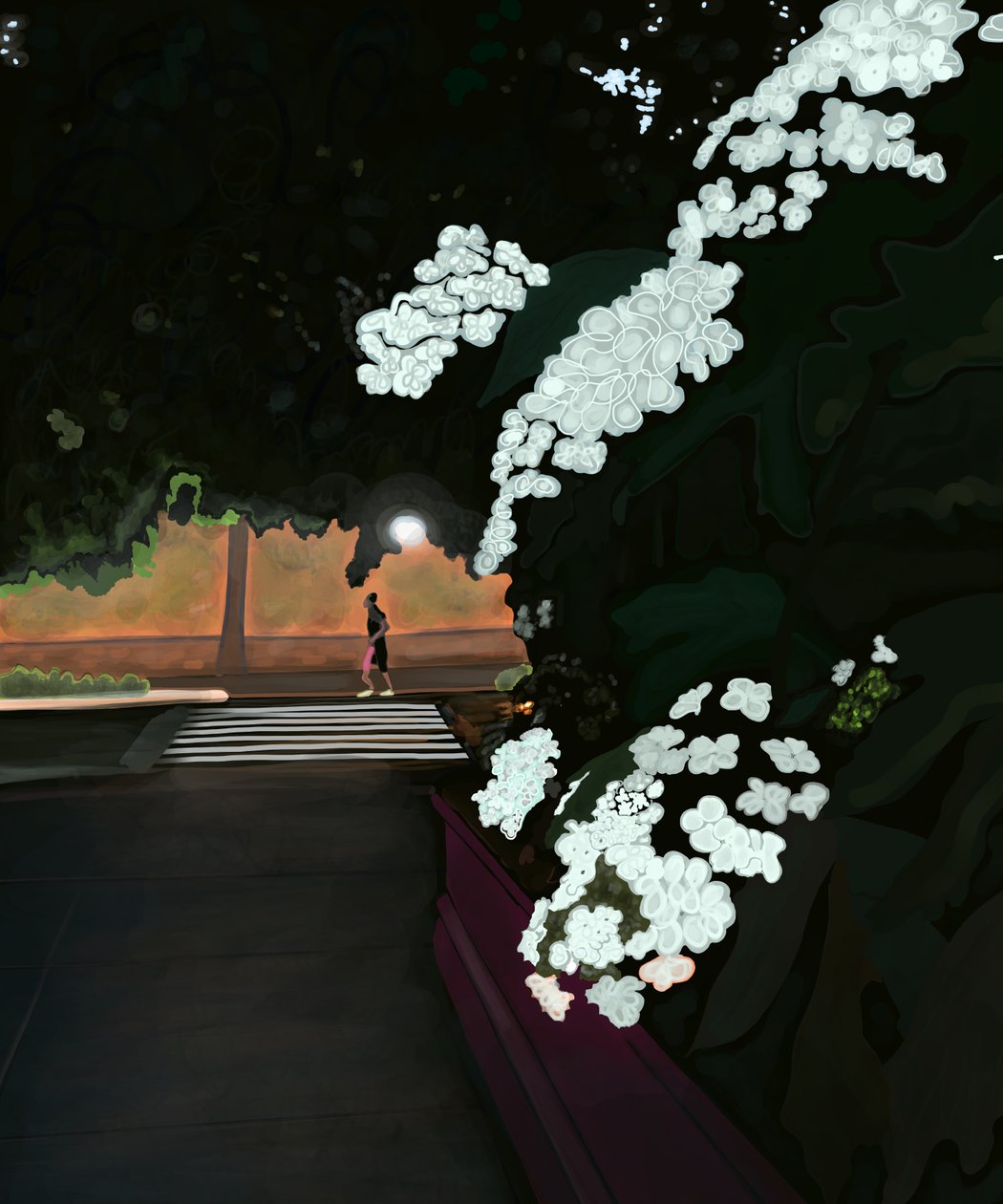 6 heures du matin. Matinée pluvieuse et joggeur. Prospect park west (art numérique) - Evan Sklar