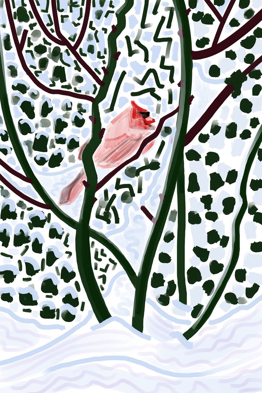 Cardinal dans la neige (art numérique) - Evan Sklar
