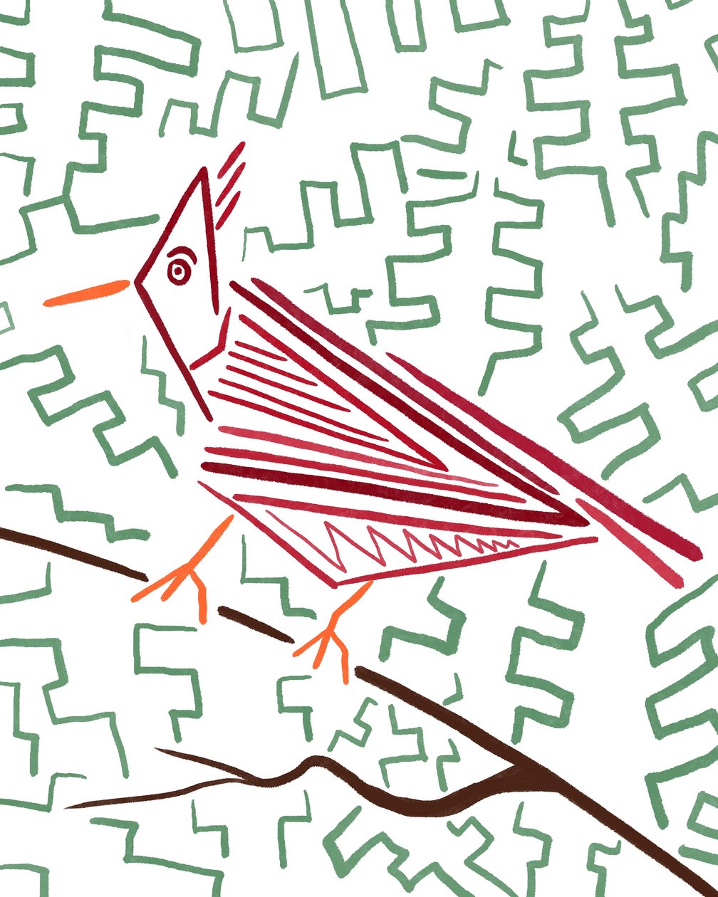 Cardinal, vers 2020-24 (art numérique) - Evan Sklar