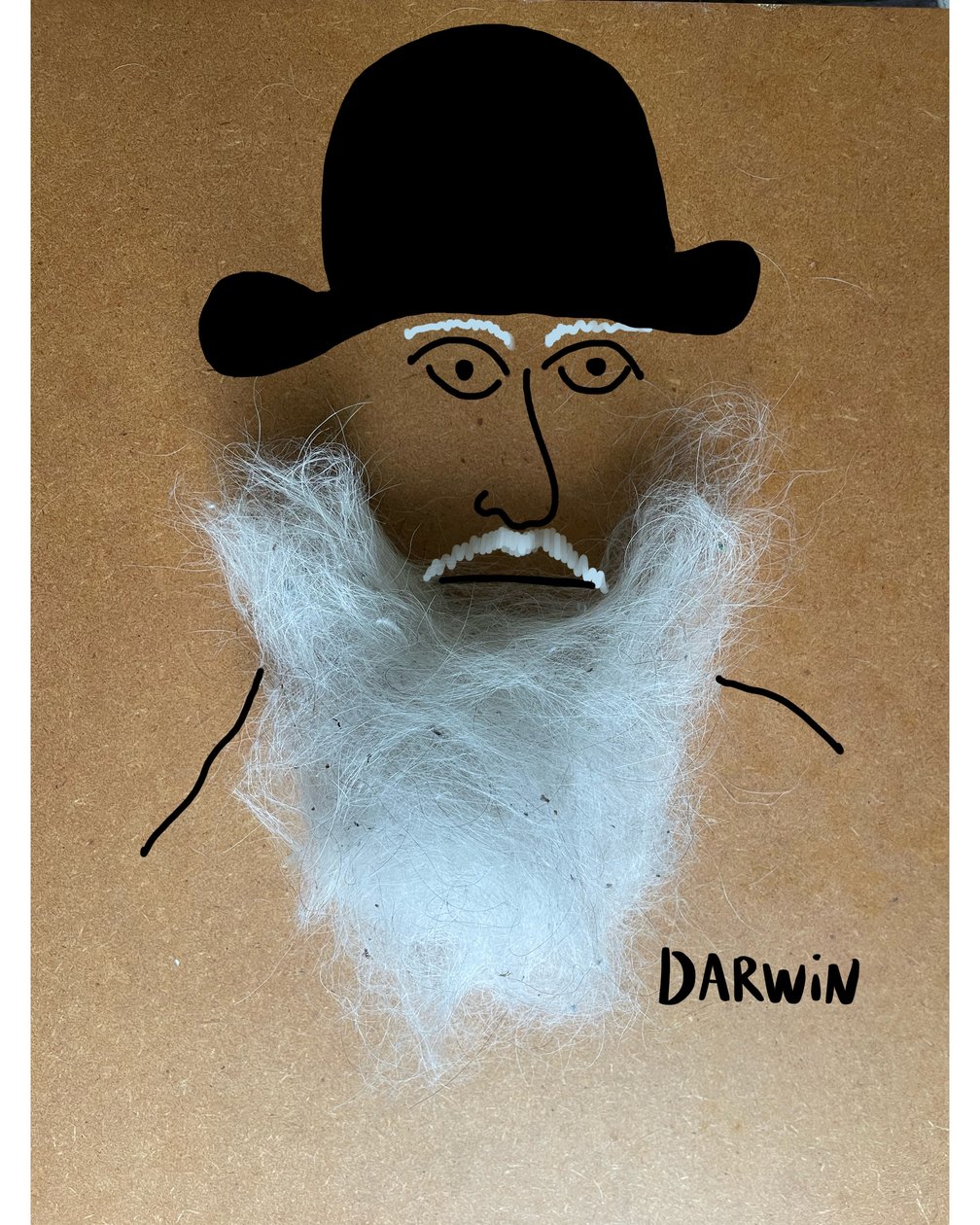 Charles Darwin - Evan Sklar