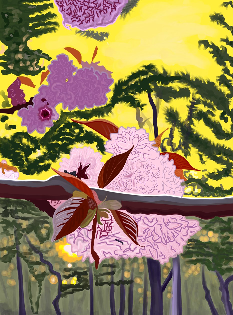 Cherry Blossoms On Branch Brooklyn (art numérique) - Evan Sklar