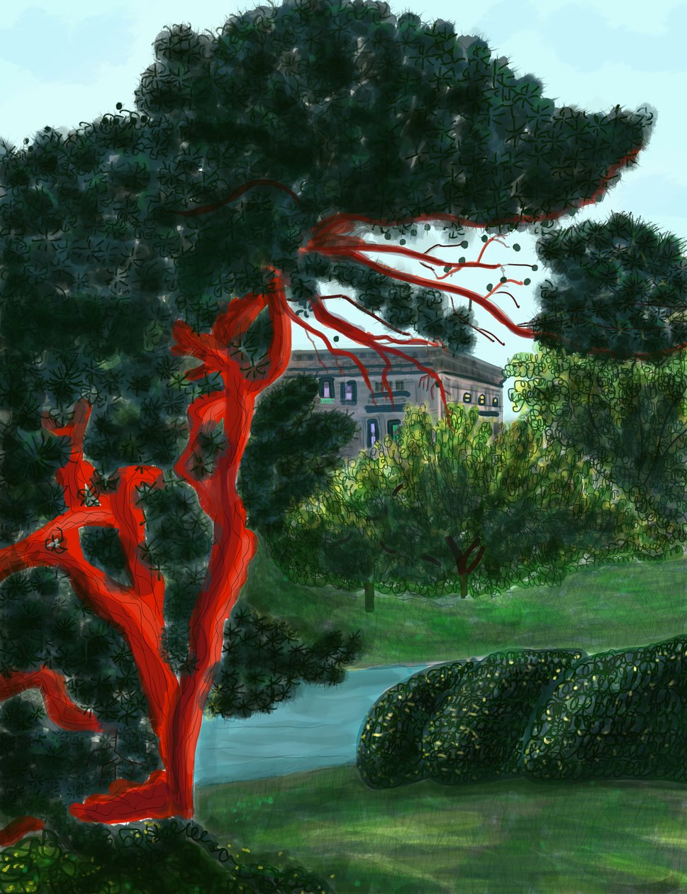 Conifère à Litchfield Villa, Prospect Park (art numérique) - Evan Sklar