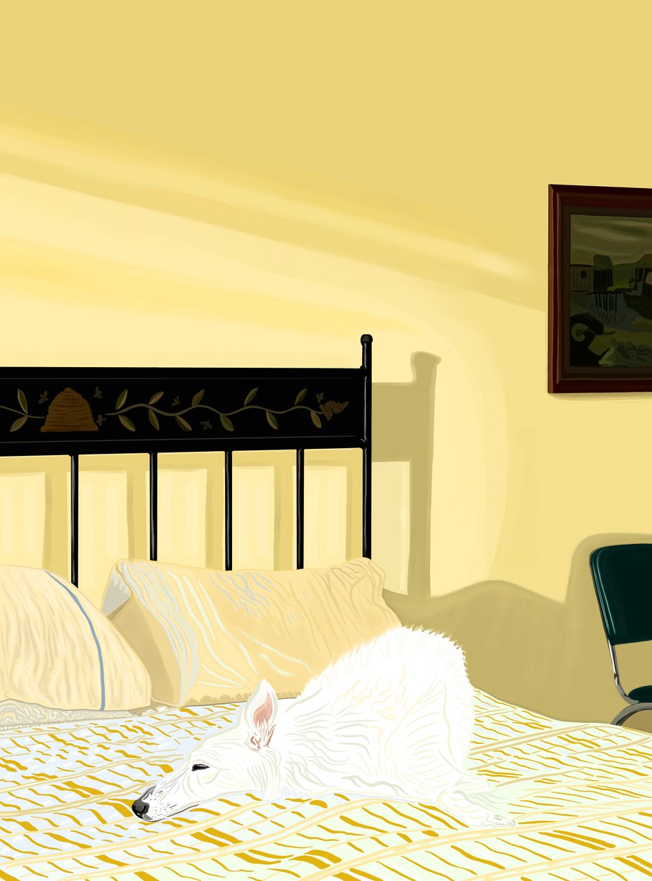 Chien se reposant sur un lit, c.2020-24 (art numérique) - Evan Sklar