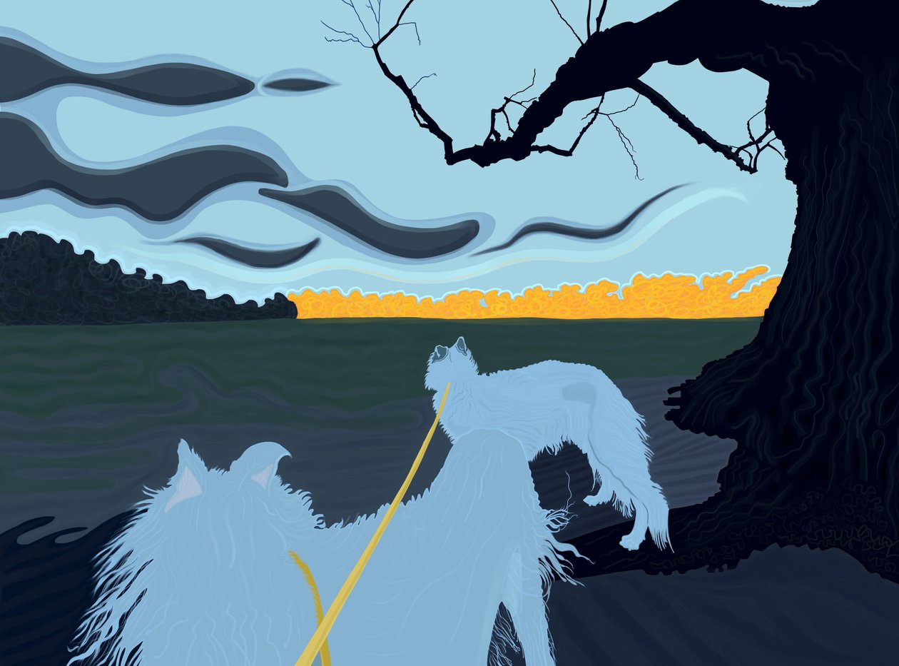 Dogs In Shade, Brooklyn (art numérique) - Evan Sklar
