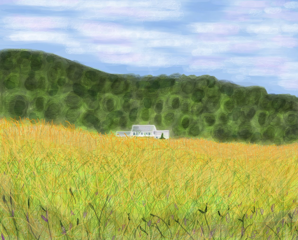 Champ et ferme dans le Vermont, 2018 (dessiné à la main sur un iPad avec un crayon Apple) - Evan Sklar