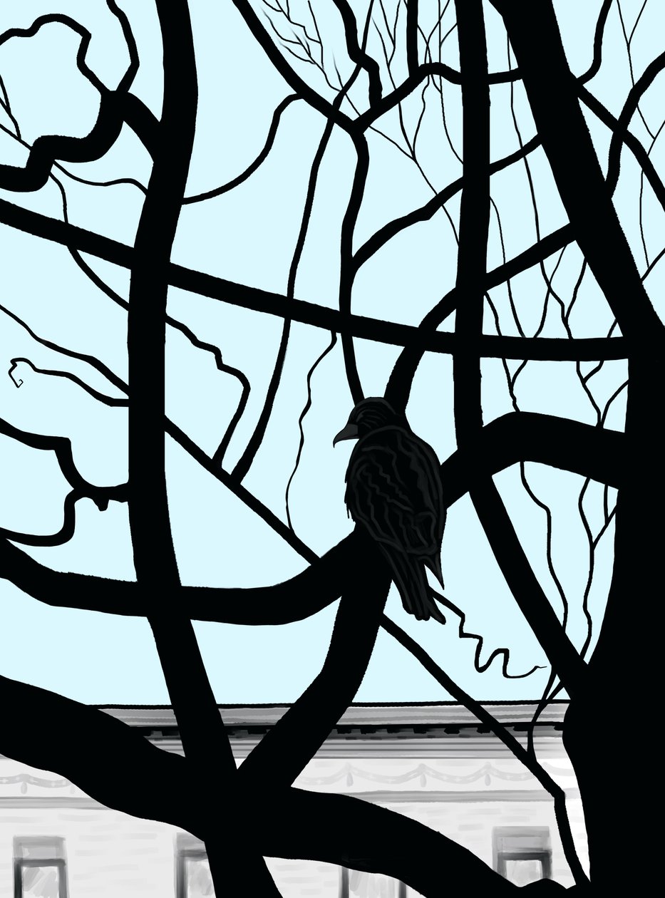 Faucon sur une branche en ville (art numérique) - Evan Sklar