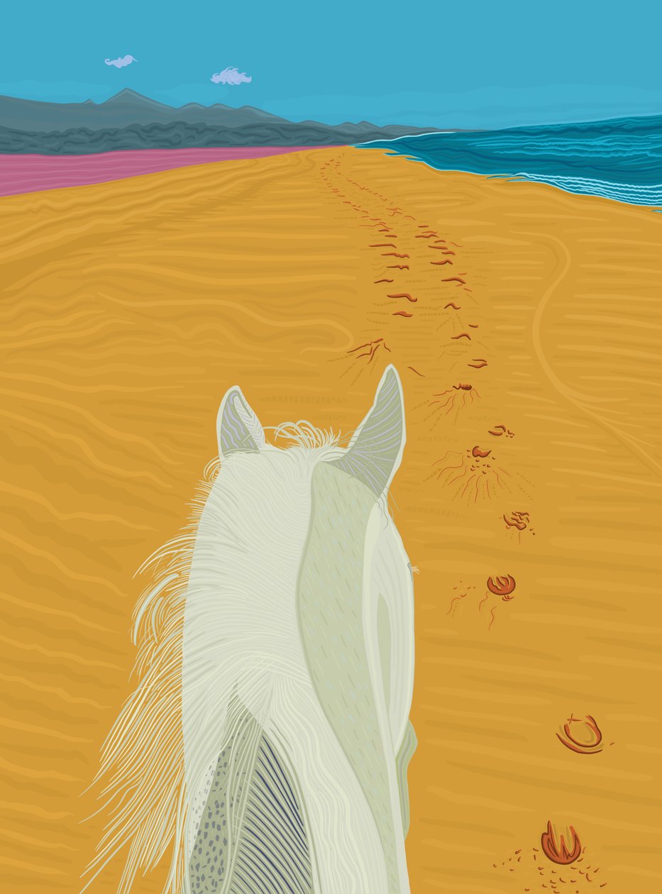 Cheval sur la plage, c.2020-24 (art numérique) - Evan Sklar