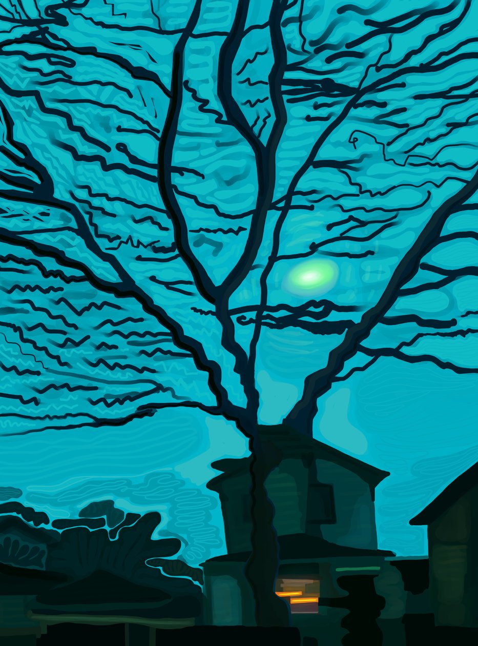 Maison dans le Queens la nuit (art numérique) - Evan Sklar