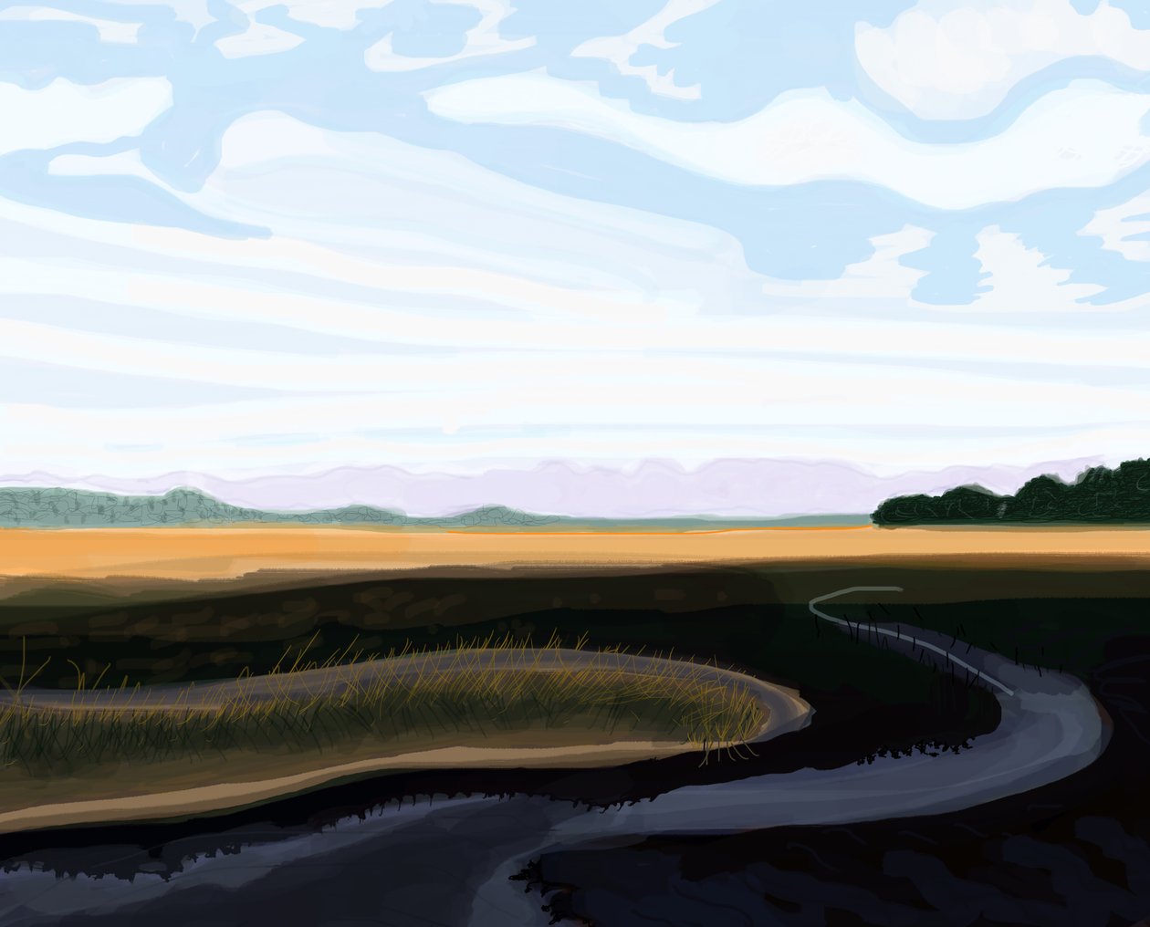Low Country, 2016 (dessiné à la main sur un iPad avec un crayon Apple) - Evan Sklar
