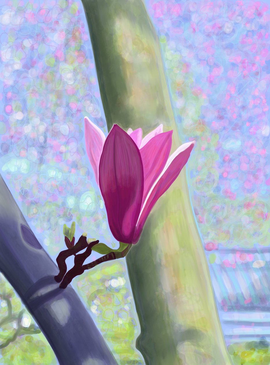 Fleur de magnolia (art numérique) - Evan Sklar