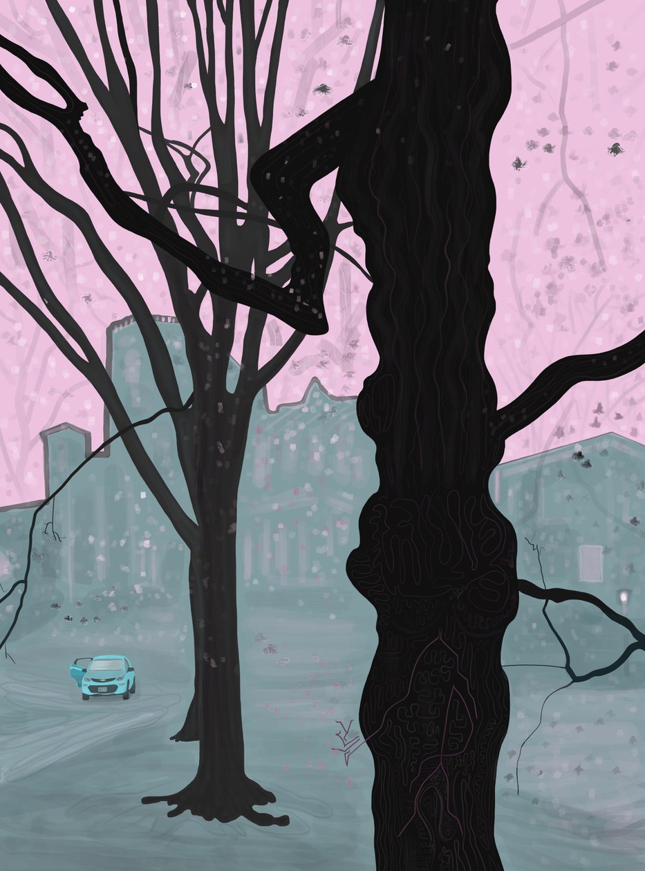 Vieil arbre, vieille maison et voiture, Brooklyn (art numérique) - Evan Sklar