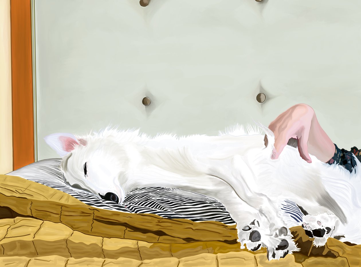 Penny On Yellow Comforter, Brooklyn (art numérique) - Evan Sklar