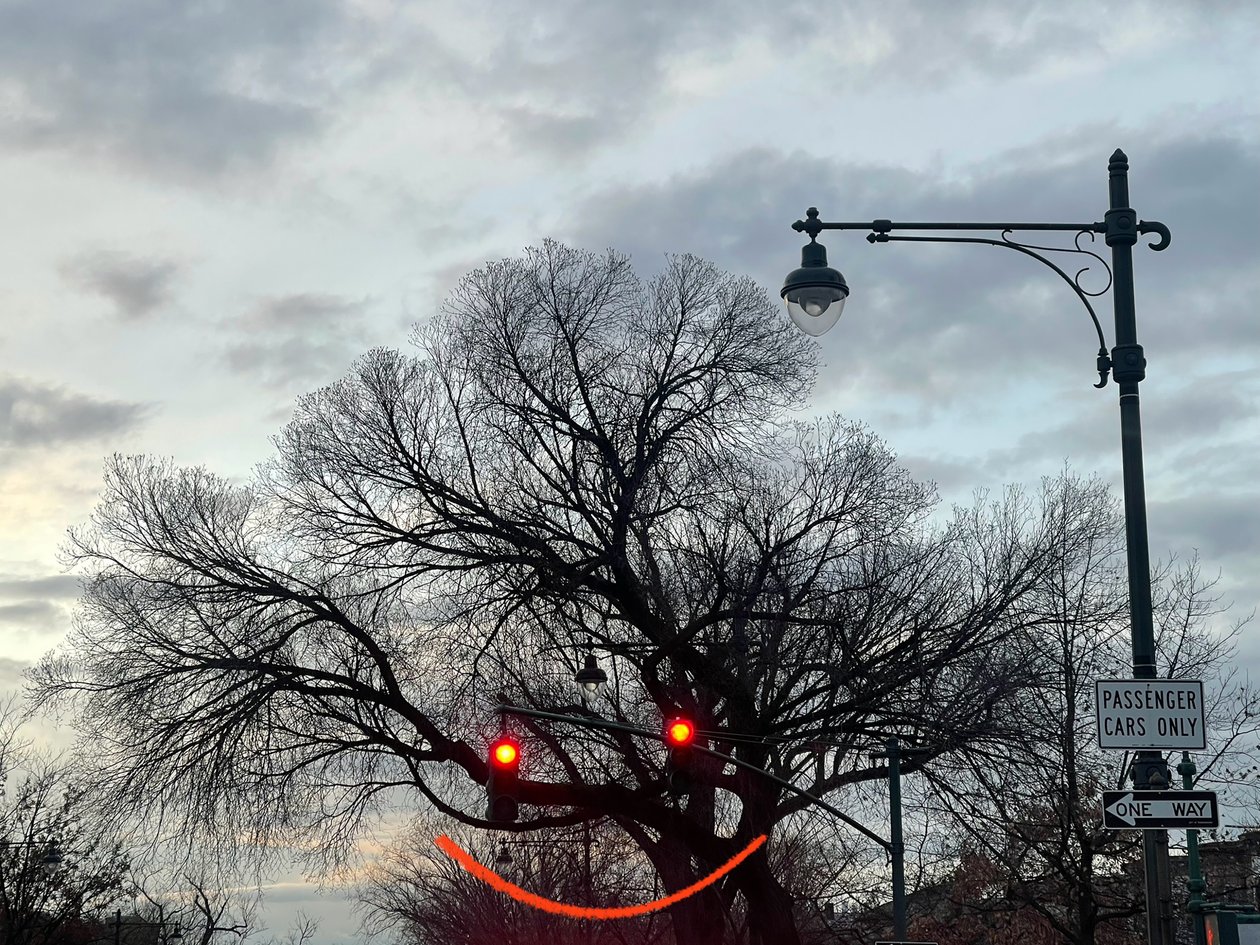 Arbre souriant et feux de circulation. Brooklyn (art numérique) - Evan Sklar