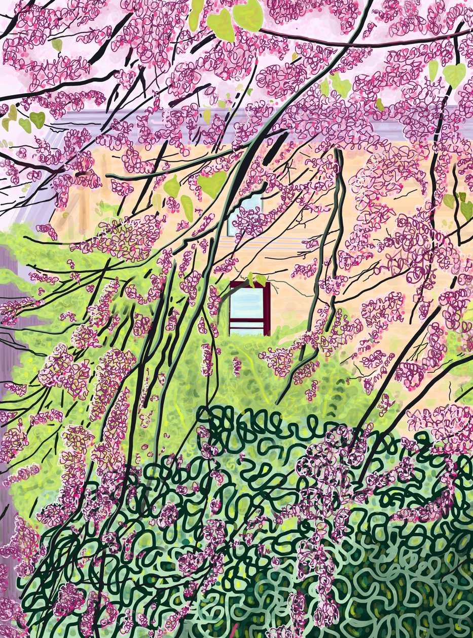 Arbres printaniers et immeuble d