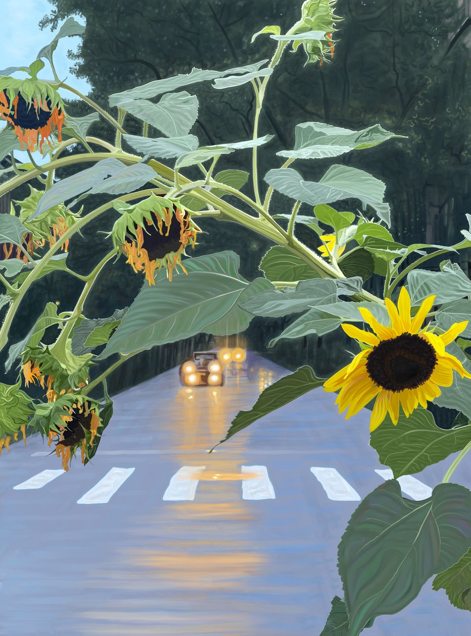 Tournesols et voitures dans une rue bordée d