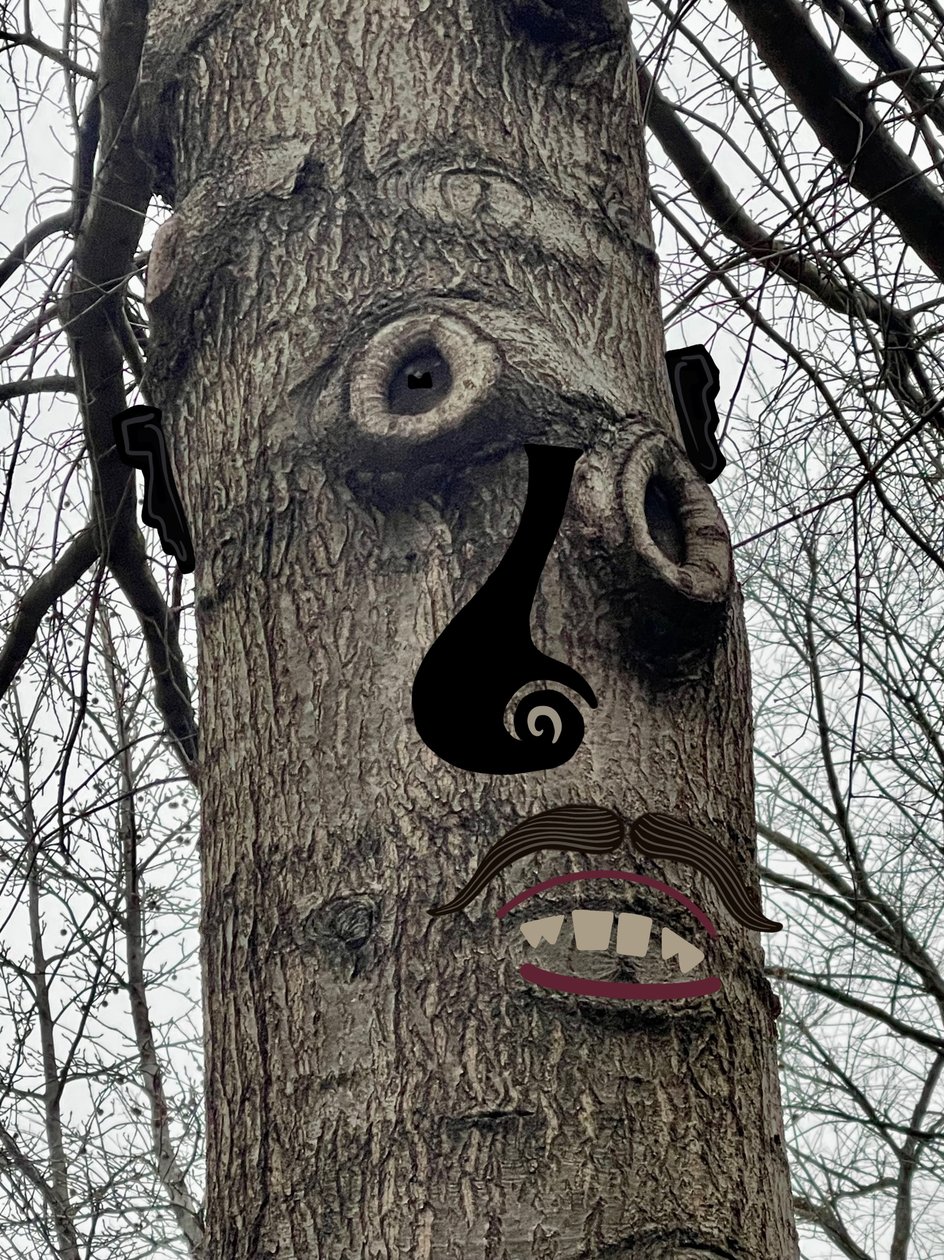 Visage d