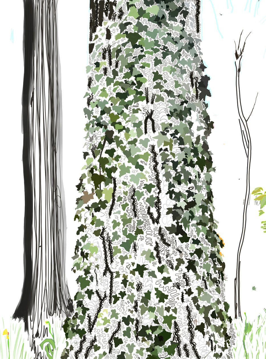 Arbre avec lierre (art numérique) - Evan Sklar