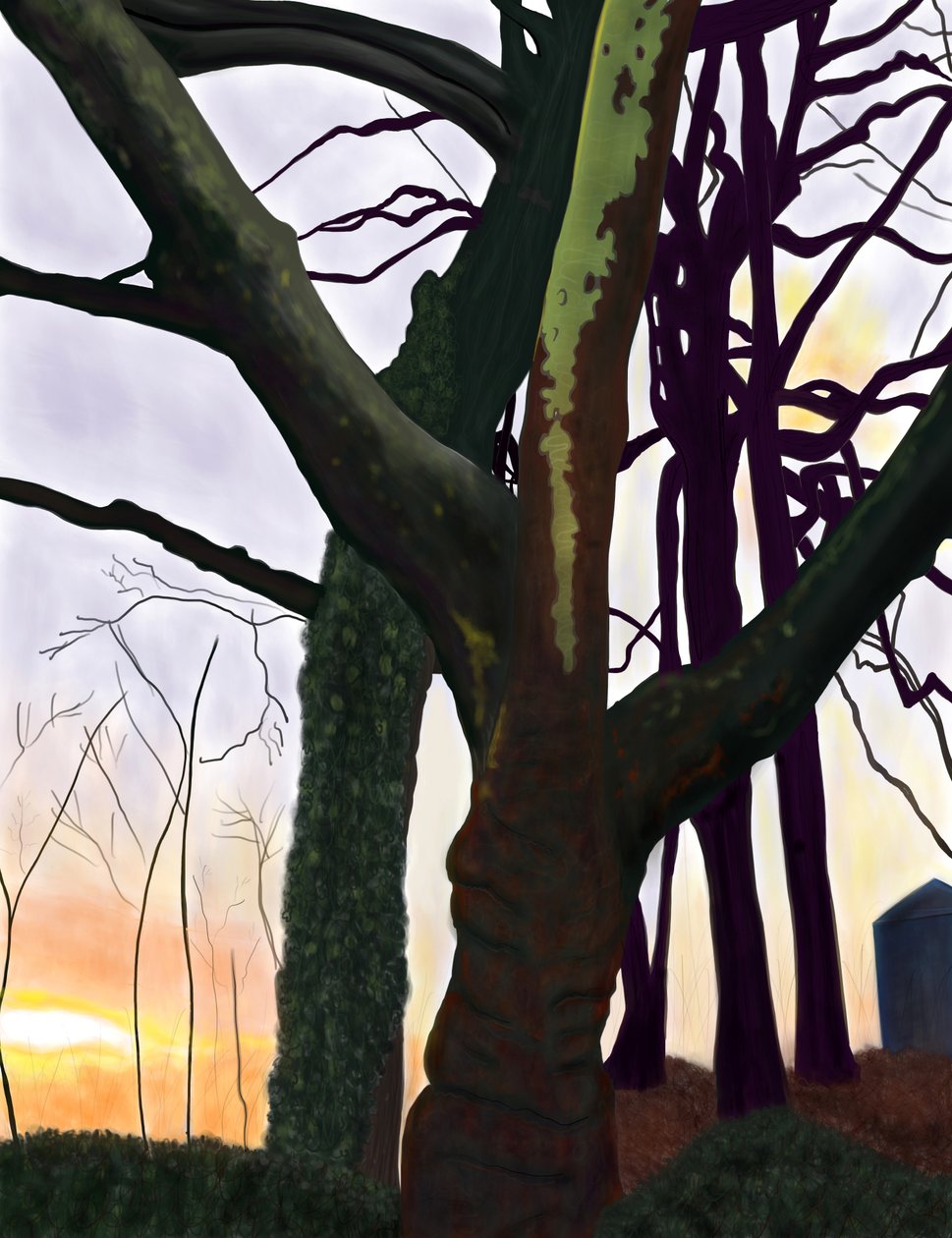 Arbres, Prospect Park, Brooklyn (art numérique) - Evan Sklar