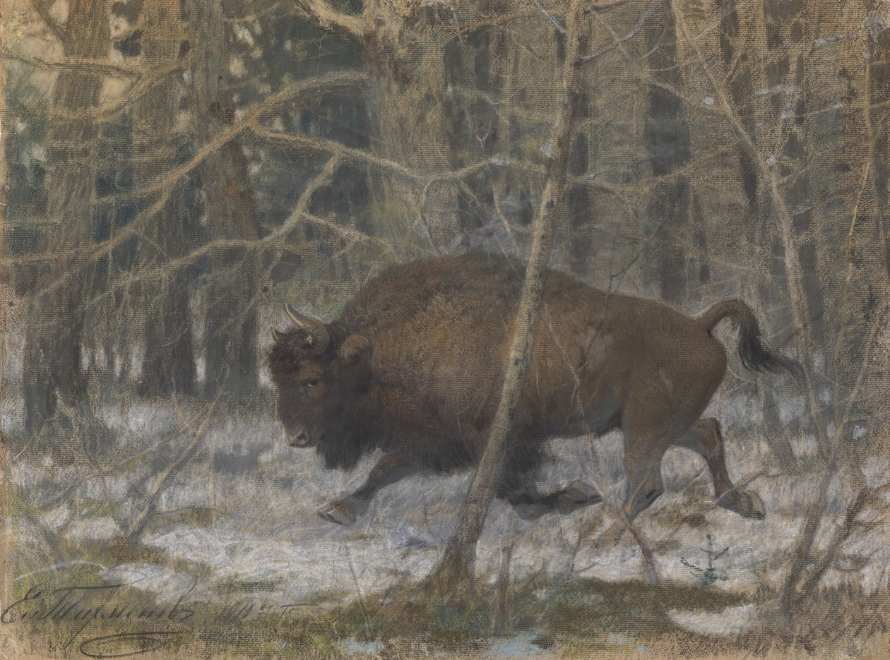 Le bison des bois - Evgeny Alexandrovich Tichmenev
