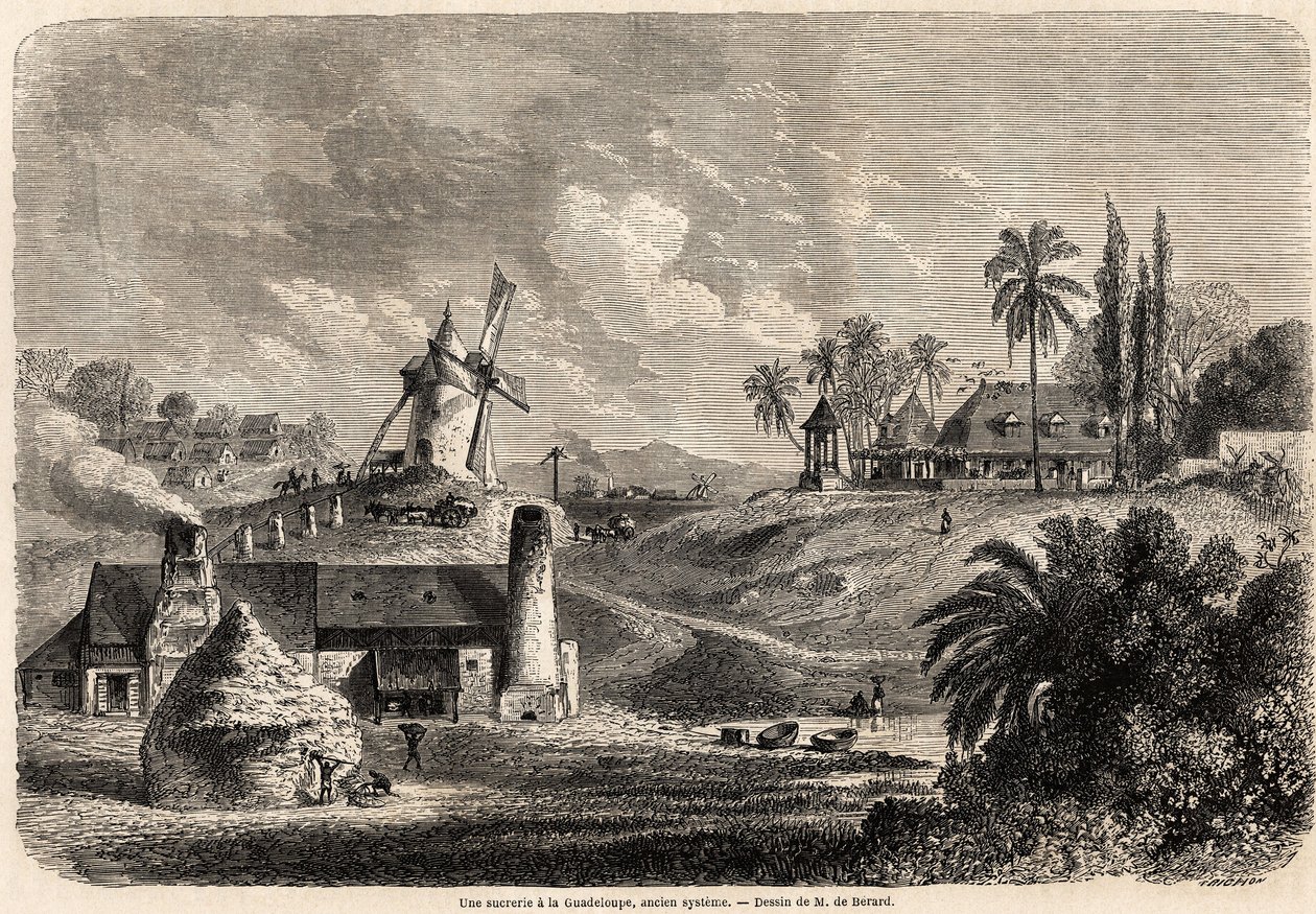 Une usine de sucre en Guadeloupe, dessin d