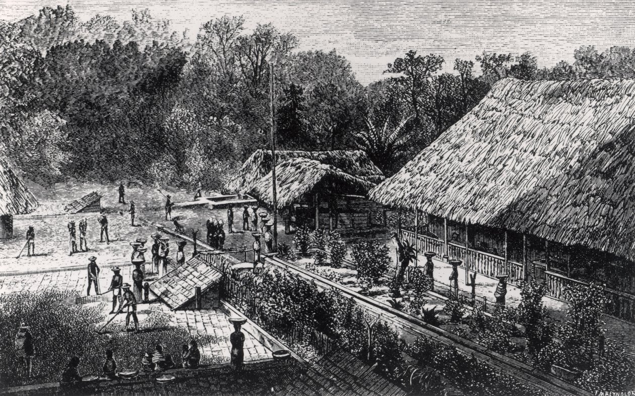 Travailleurs sur une plantation de café - F.M. Reynolds