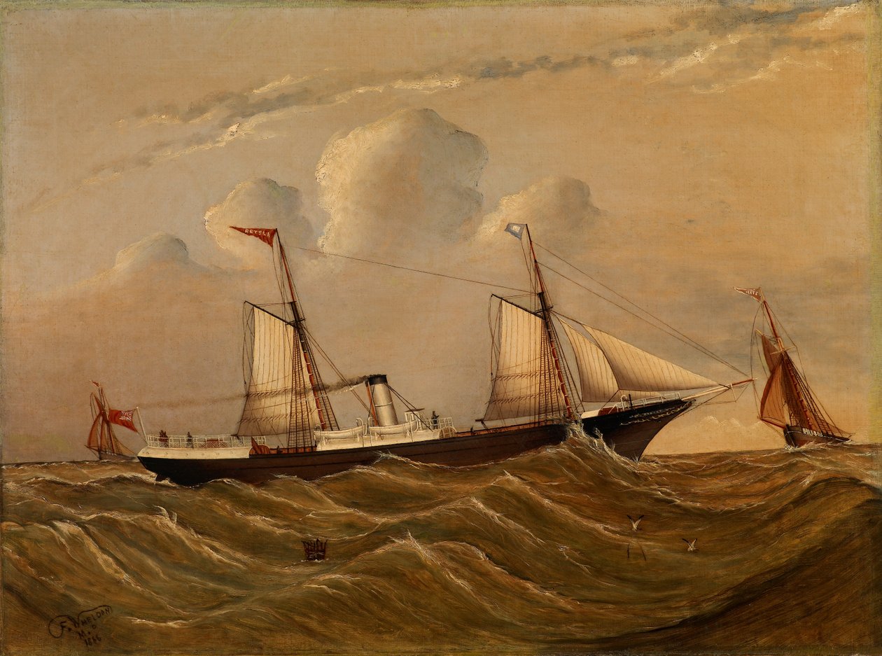 Steamer Alster - F.M.P. Wheldon