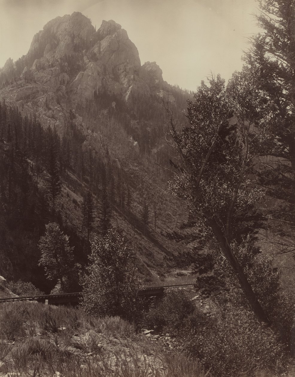 Sans titre, vers 1884 - F. Jay Haynes