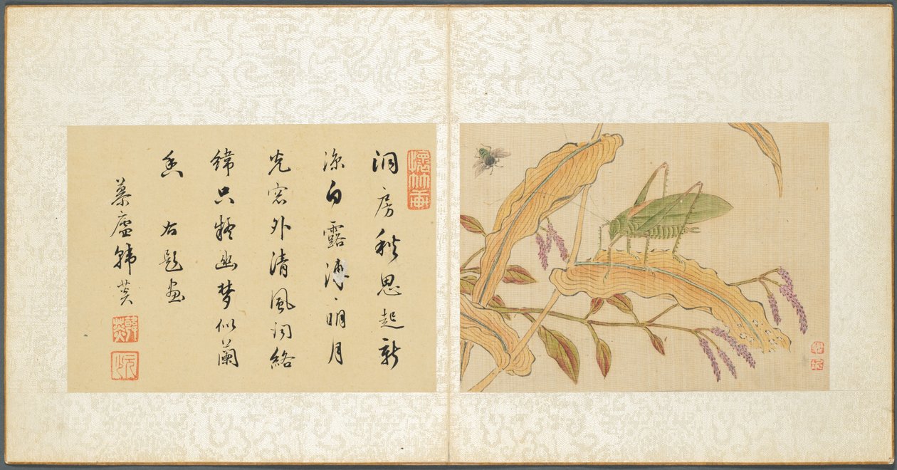 Album de sujets divers, Feuille 7, 1600s - Fan Qi