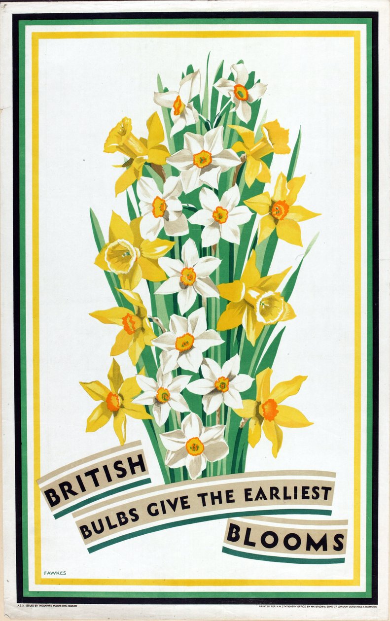 Les bulbes britanniques donnent les premières fleurs, de la série 