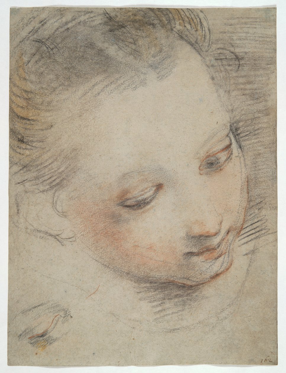 Tête de fille, étude pour une figure dans le retable de la Madonna del Popolo aux Offices - Federico Barocci