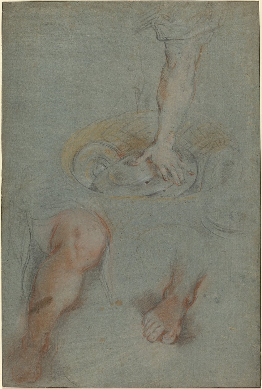 Études pour un serviteur dans "La Cène" - Federico Barocci