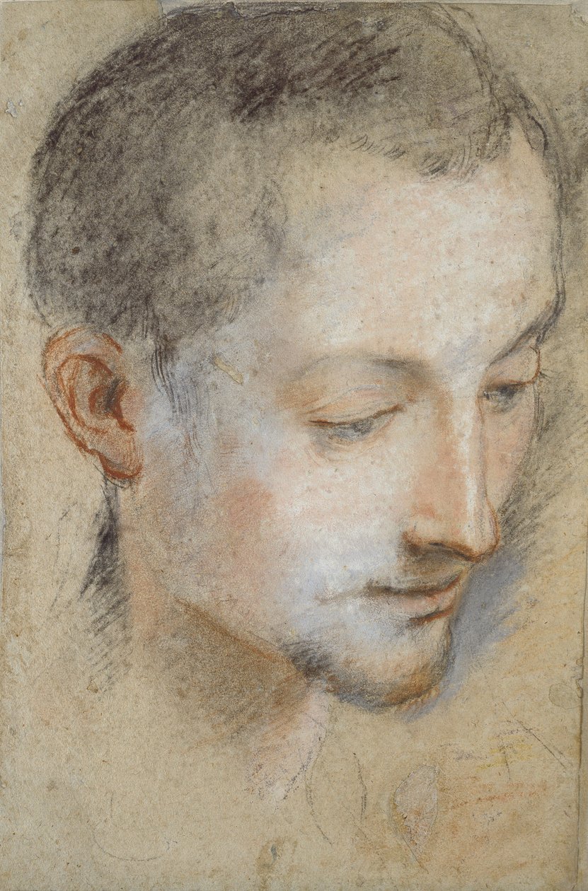 Étude de la tête d