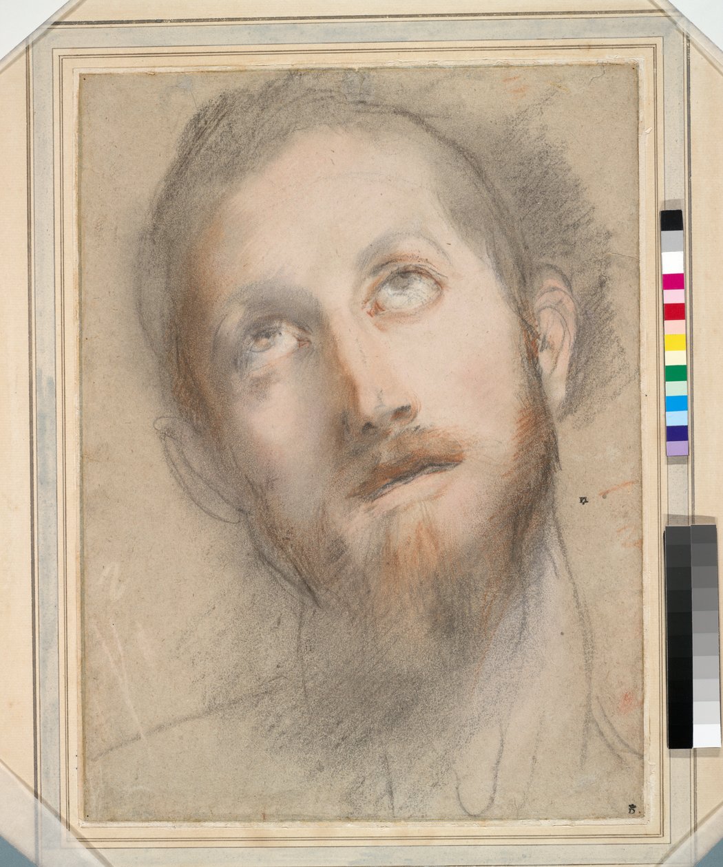 Étude pour la tête du Christ - Federico Fiori Barocci or Baroccio