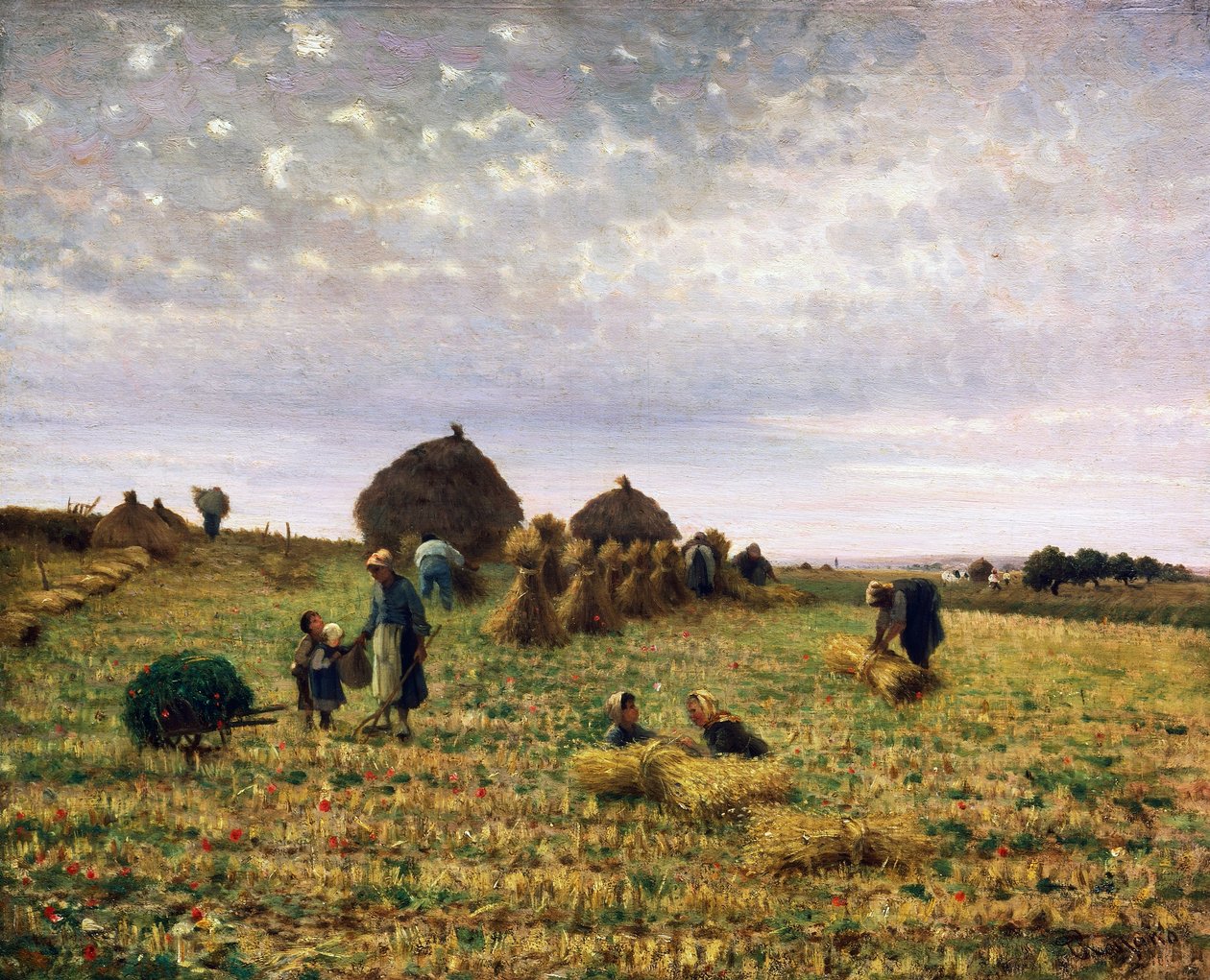 Récolte - Federico Rossano