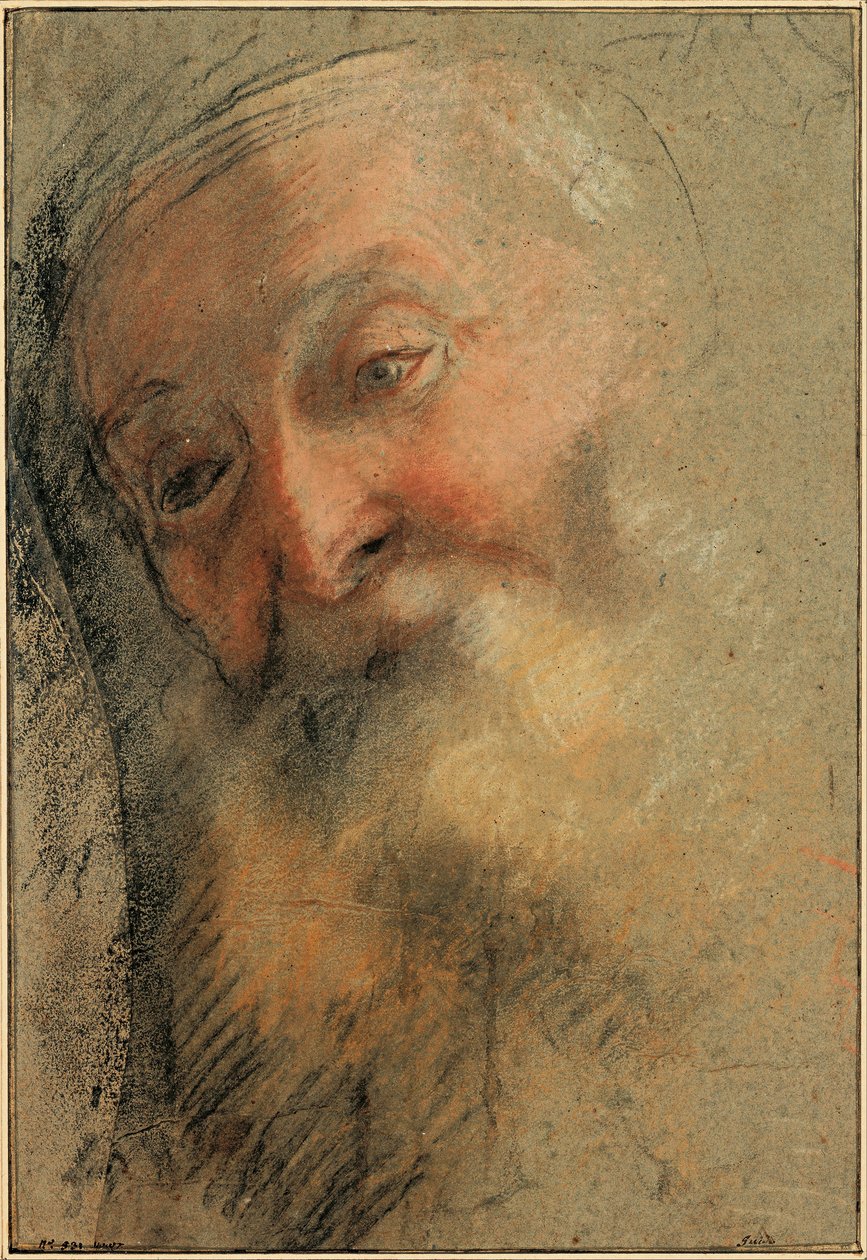 Tête d