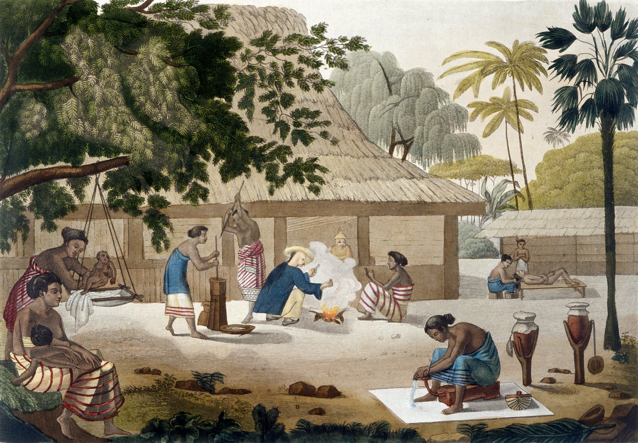 Vie domestique à Kupang, Timor, planche 10 de 