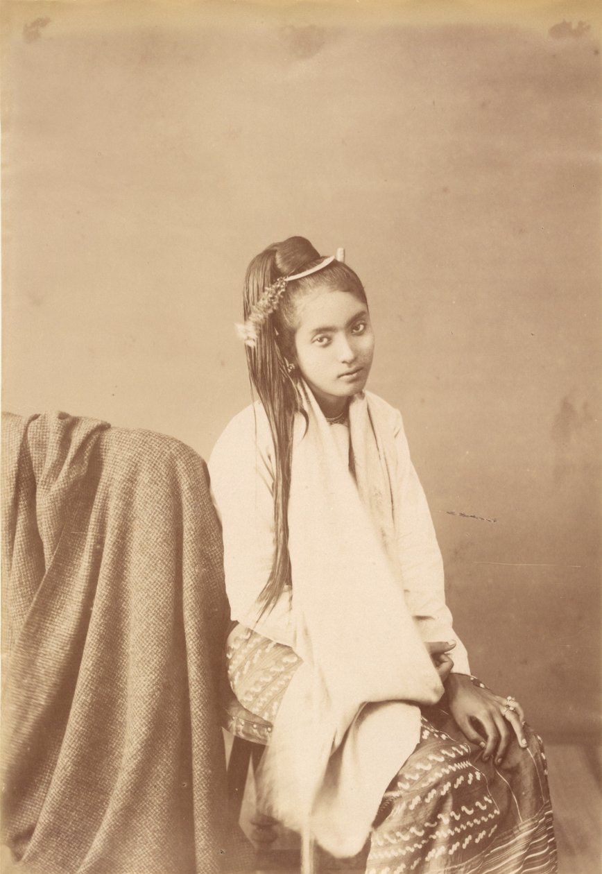 Type birman Silk Sitter - Felice Beato