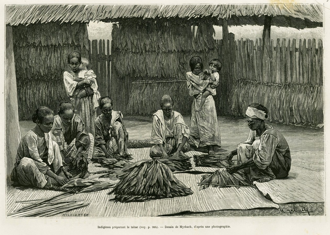 Indigènes fabriquant du tabac. Gravure par Myrbach pour illustrer l