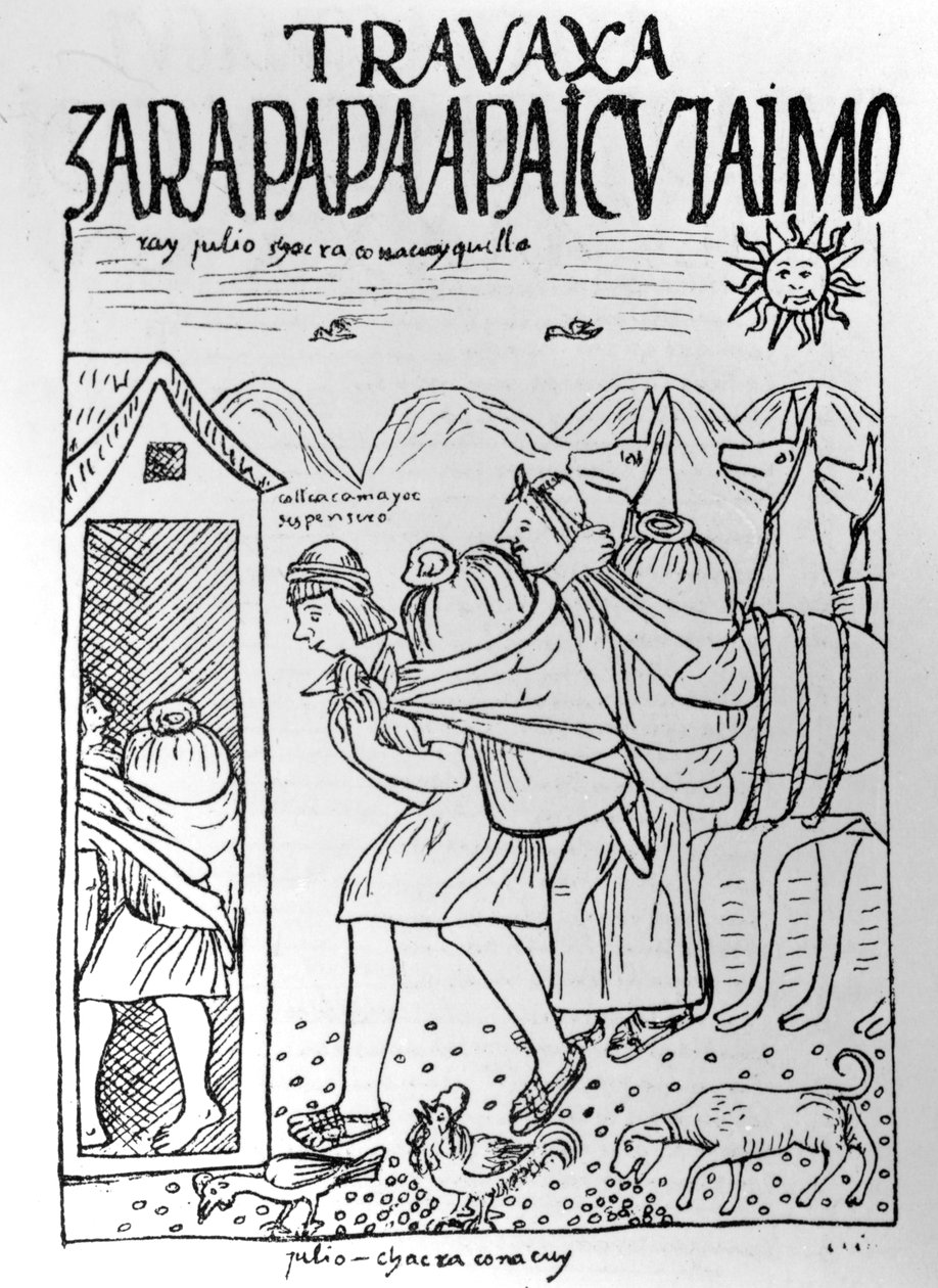 Le Mois de juillet, stockage du maïs et des pommes de terre - Felipe Huaman Poma de Ayala