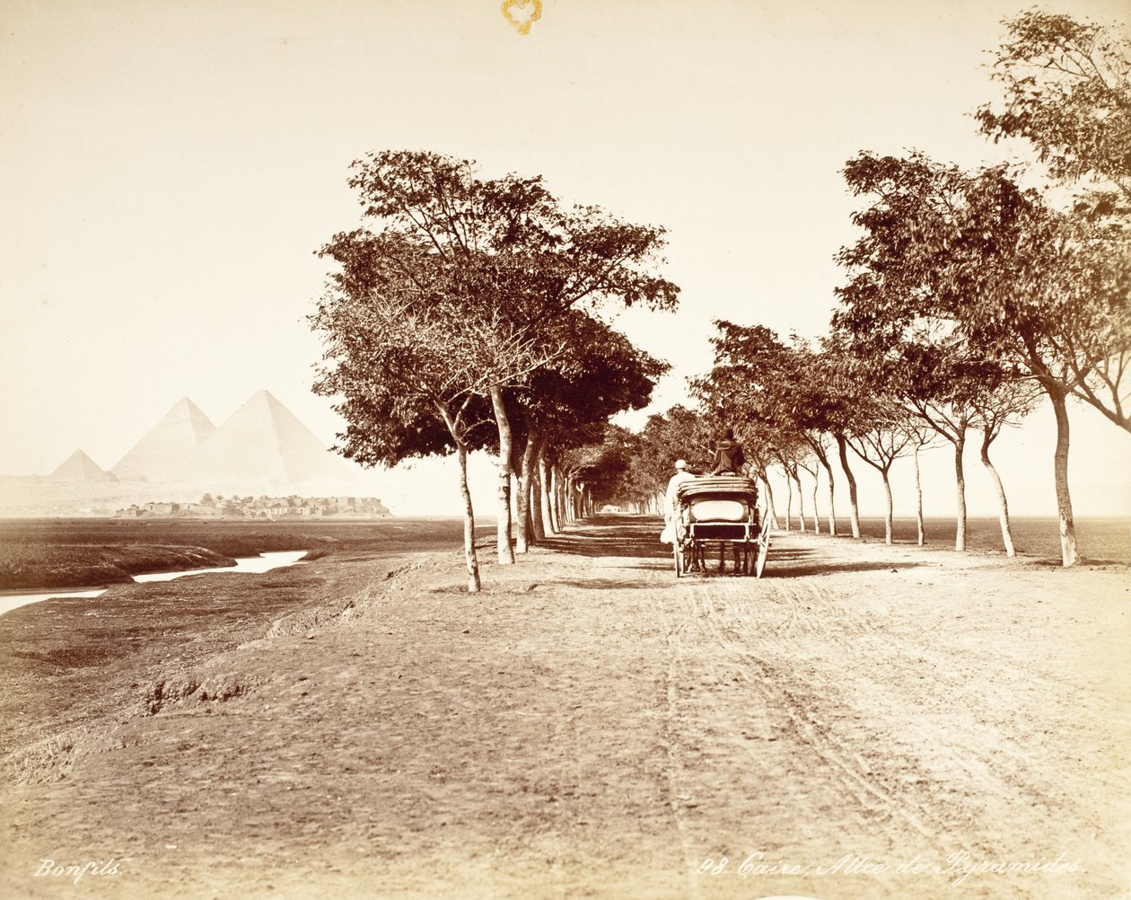 Caire, Allee De Pyramides #98 - Félix Bonfils