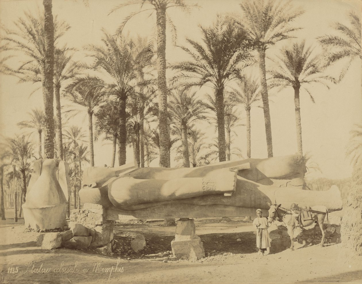 Statue classique colossale à Memphis (Sésostris III) - Félix Bonfils